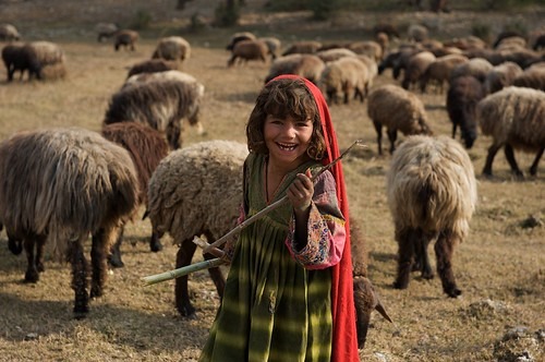 WhatsApp Image 2025-05-05 at 11.53.40 AM