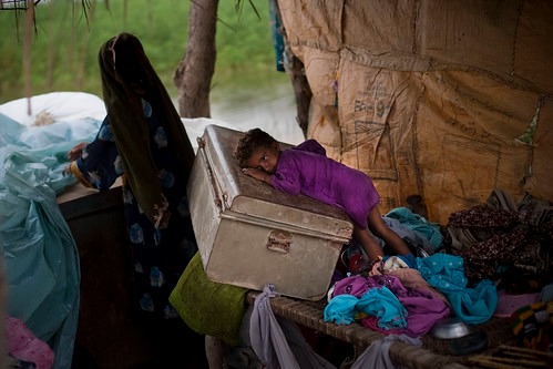 WhatsApp Image 2025-05-05 at 11.53.43 AM