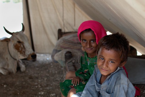 WhatsApp Image 2025-05-05 at 11.53.44 AM