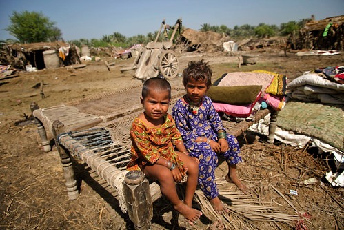 WhatsApp Image 2025-05-05 at 11.53.47 AM (1)