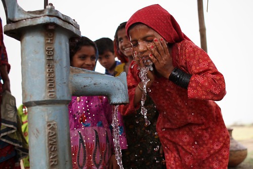 WhatsApp Image 2025-05-05 at 11.53.48 AM (2)