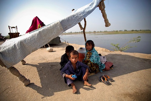 WhatsApp Image 2025-05-05 at 11.53.48 AM